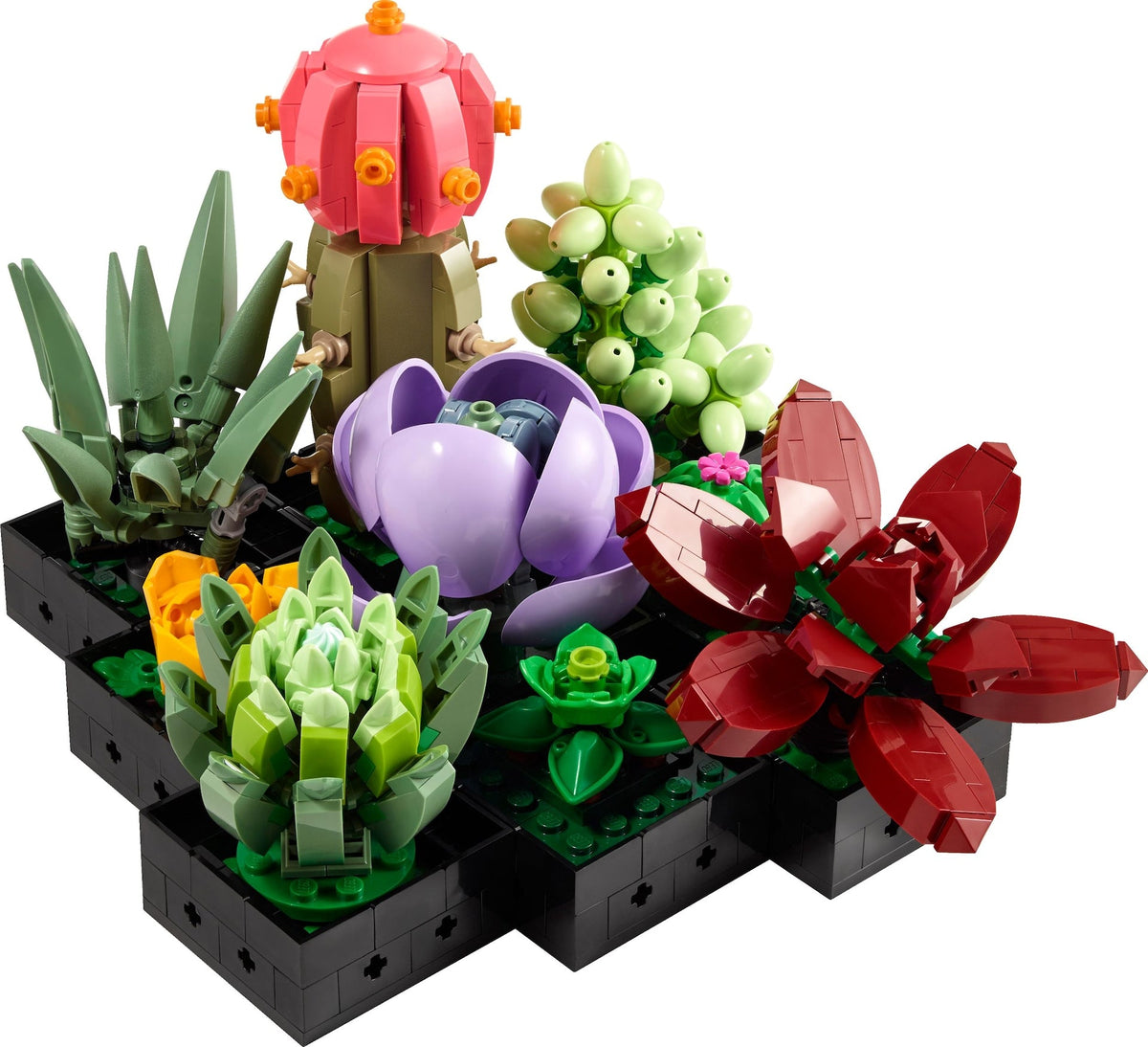 LEGO The Botanical Collection Succulents Building Set – 10309, 771-pcs, Ages 18+