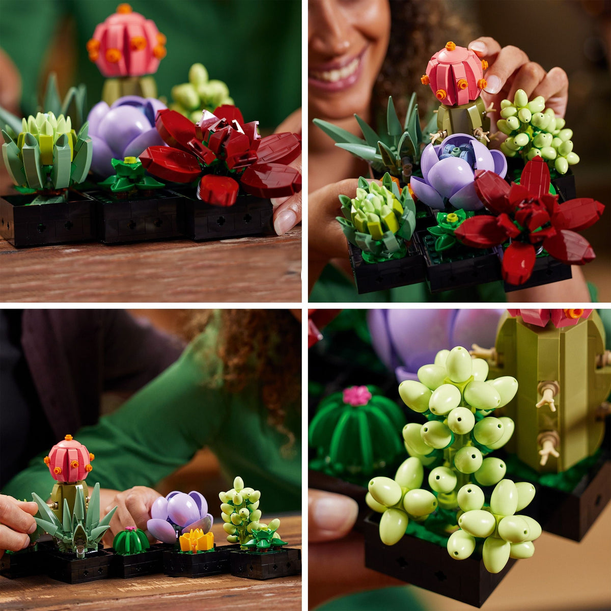 LEGO The Botanical Collection Succulents Building Set – 10309, 771-pcs, Ages 18+