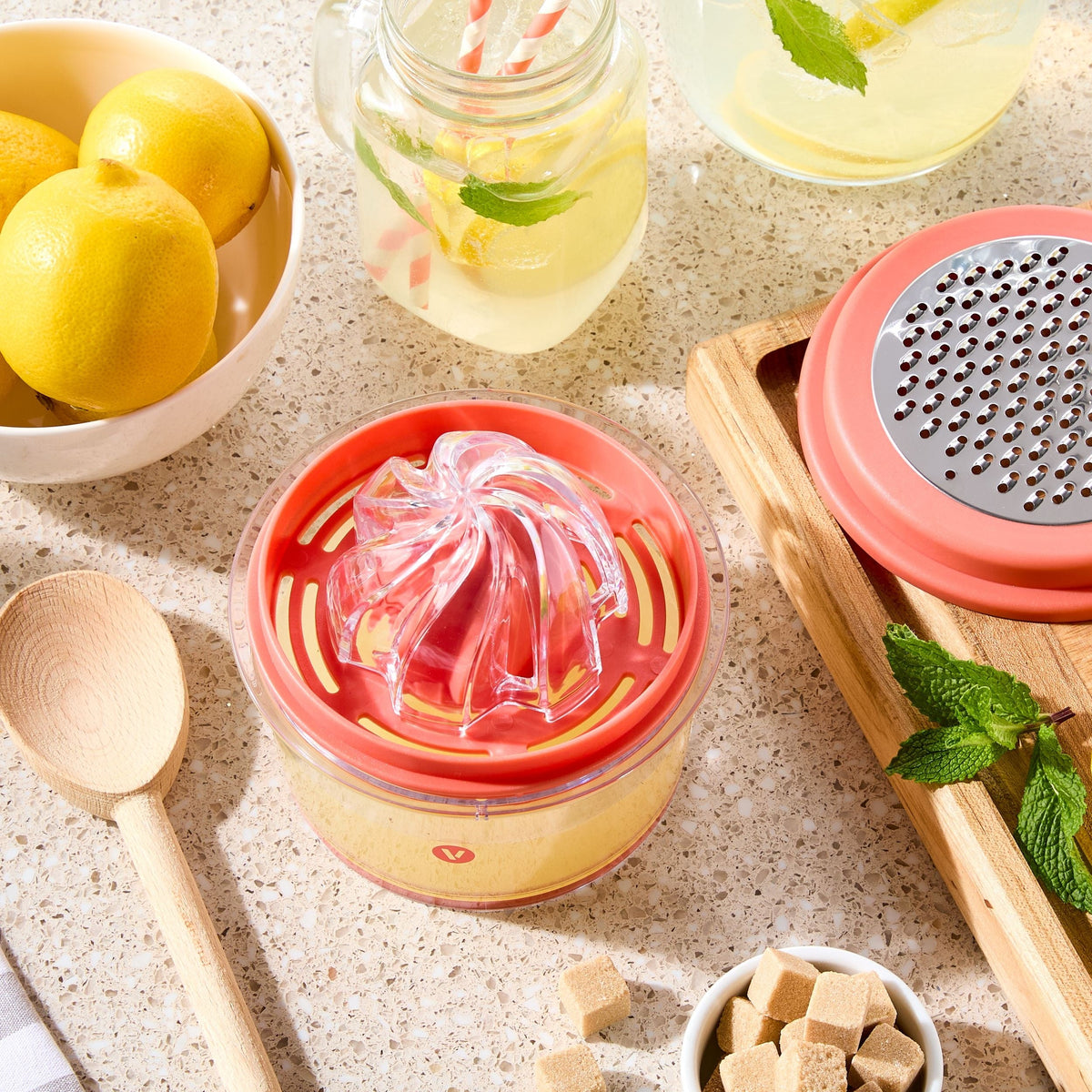 Vida by PADERNO Citrus Squeezer Set with Removable Parts