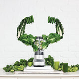 Breville Fresh & Furious Blender with LCD Display, Silver