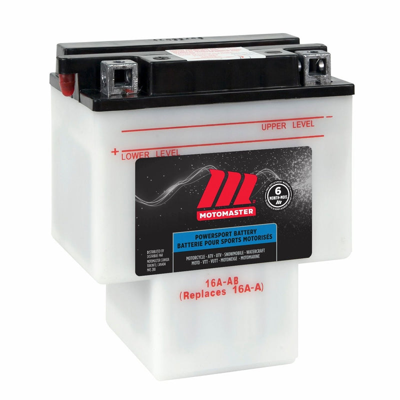 MOTOMASTER Group Size 101 Battery, 650 CCA