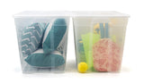 type A Clear Tote, 72-L, 2-pk